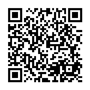 高扬使用步枪的远程射击和使用霰弹枪的近距离射击都超级厉害二维码生成