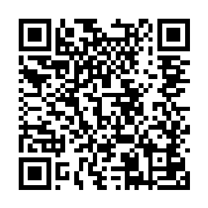 高扬已经找不出任何一个可以跟他一起行动的人了二维码生成