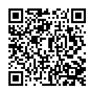 高扬更是打算着怎么在第二天就开始实施他的计划了二维码生成