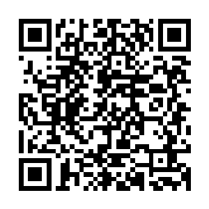 高斯林的表演说明了他是一个专业天才和最优秀的年轻演员之一二维码生成