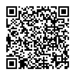 高速飞行的子弹也只能是再在茂密的树林里留下痕迹和带起更多的木屑粉尘二维码生成