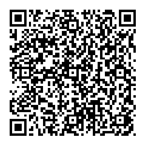 鬼将的命令虽是寻找比较稀有的魂石但根本目的却是用魂命作诱饵引出潜伏在冥界地底深处专门吃灵魂纯净的灵鬼兽捕捉二维码生成