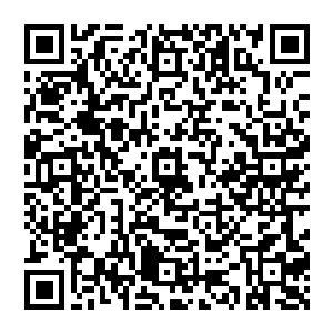 鬼王一声大喝 震得王如意耳朵嗡嗡作响 他环视众人 眼中瞬间爆发一道精芒 威胁之意刹那间显现而出二维码生成