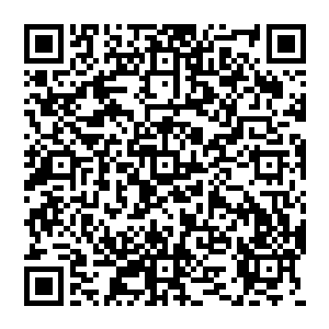 魁明宇却是可以从他那一双冰冷的眼眸之中看到森冷的杀机……当然不是冲着他魁明宇而来的二维码生成