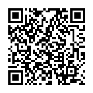 魅族公主据说在回魅族的路上不知因何原因离奇死亡了二维码生成