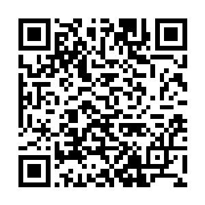 魏行侠在华东软件园上有多大责任现在已经不重要了二维码生成