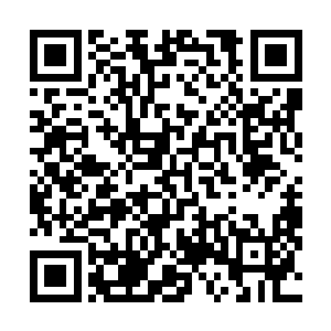 魔气翻滚之间轰隆一声硬生生的将这口大刀直接的挡住了二维码生成