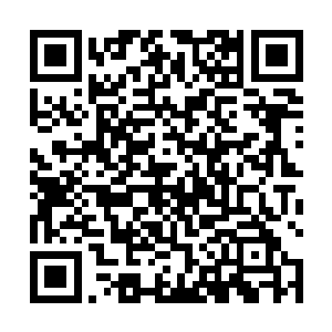 魔界各方势力远远看见山峰绝壁上镌刻的焚寂峰三个字二维码生成