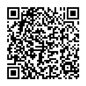 魔鬼……魔鬼……你这种人……只配孤独终老……你终将不得好死……二维码生成