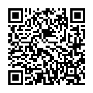 鲤鱼们在确定三儿媳敖樱兰是自己毛病犯了昏迷的而非中毒二维码生成