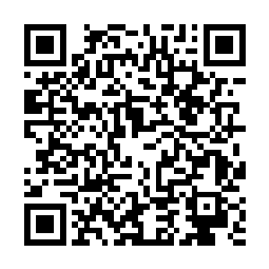 鸢尾司当着张潇晗的面将张潇晗所言挑重点重复了一遍二维码生成