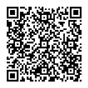鸿蒙古树的树叶让自己不知不觉经历了一场类似于现实版本的魂劫之境的长梦……二维码生成