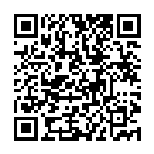 麒麟臂第四式再次爆发却是与之前任何一次都不一样二维码生成