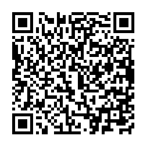 麓城在今年上半年的表现仅次于经开区而高于排在第三的梓城9个百分点二维码生成