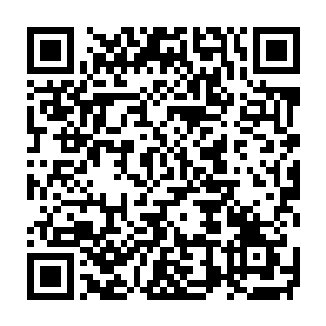麦尔斯和古拉那甚至已经共同起草了一份文件和一份联合声明……二维码生成