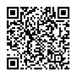 麻将几乎可以算是华夏人见人爱几乎没几个不会的娱乐方式了二维码生成