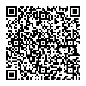 麻烦编编麻烦到作者君都脸红了所以就不一一感谢诸位的厚爱了~~一起感谢~再次谢谢亲们的票票跟打赏二维码生成