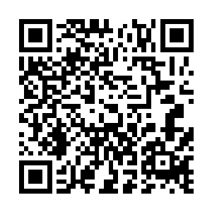 黄树门门主刚刚亲眼等了数百年的圣果从他眼前莫名消失二维码生成