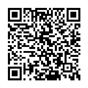 黄爷他可是咱们南三省的七十二道水陆总瓢把子二维码生成