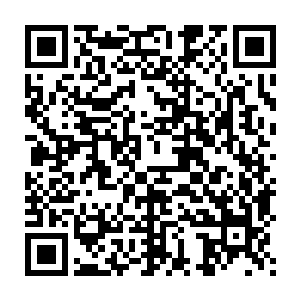 黄牛尸体边走出一位白衣男子英俊柔和五官有如刀刻般精致满脸的温和二维码生成