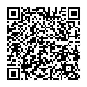 黄鑫林还是要承认恐怕他经历的几任市委书记里陆为民是最强悍的二维码生成
