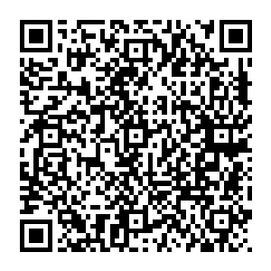 黎未未不明白为什么一项对这些搞研究很大方的丈夫为什么会专门对这个项目表现出了一种铁公鸡的状态二维码生成