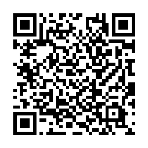 黑夜的视线受阻对于三人而言根本构不成任何问题二维码生成