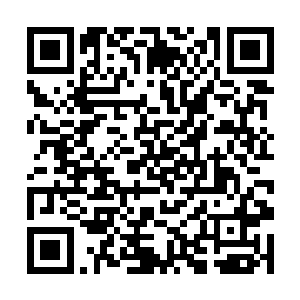 黑寡妇的嘴里也再一次发出了一声无比凄厉的惨叫声二维码生成