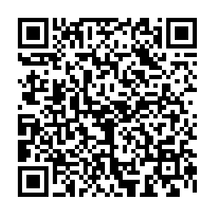 黑影反应倒也迅速虽然被门板砸中但很快爬了起來当他看清楚无欢时目光一缩二维码生成