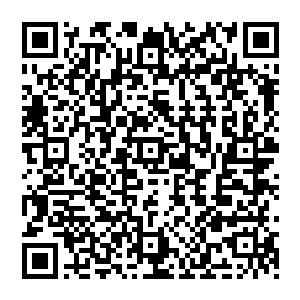黑暗之色在网格当中　仔细看去竟是无数个黑点汇聚而成　而那光点　则也是在一个格子之上二维码生成