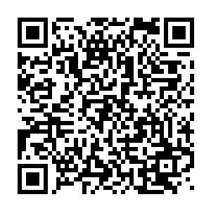 黑暗福音霍华德为千夜加持的这双血翼可是实实在在的拥有飞行能力二维码生成