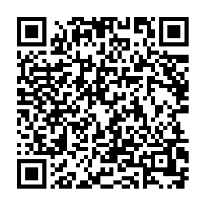 黑暗联盟所有的人全部团结起来对付罗斯家伙和洛菲克家族就会简单的很多很多二维码生成