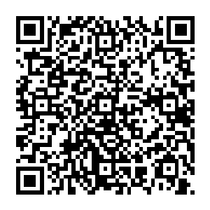 黑暗议会的三位巨头显然是没有想到这一根手指竟然在他们八个人的联手之下还没有消散二维码生成