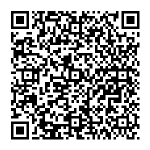 黑暗里的火把……不断逼近的人群……不怀好意的耶律祁……冷漠如冰的宫胤……被迫推入的生死危机……二维码生成