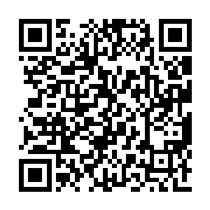 黑灵珠和白灵珠一直在黑灵族和白灵族秘密流传二维码生成