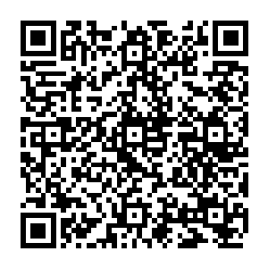 黑白巨鹰是亲眼见过自己的三个同类被流墨墨他们一行人分分钟解决掉才这般忌惮二维码生成