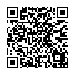黑皮仆兽释出包裹住身体的无数黑面条宽的细线瞬间化作灰烬二维码生成
