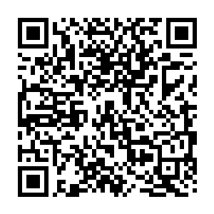 黑鱼的开山刀同时劈出一道威力绝伦的剑气和刀气斩向挡在前方的众多圣帝怨灵二维码生成