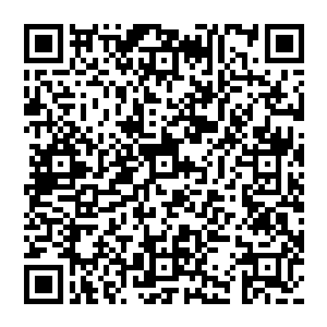 黑黑黑   黑黑黑黑黑黑黑黑黑黑       黑        黑黑       黑二维码生成