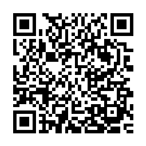 黔驴技穷了吗……哈哈……哈…啊……这是什么……这是……二维码生成