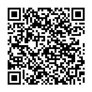 黛妮和莎妮以前对学校里一些加入崇拜外星人和神秘教派组织的同学很不理解二维码生成