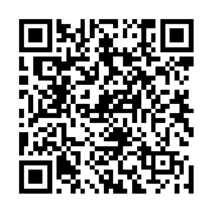 黛娜你在那里有可能遇到几个你以前认识的熟人和学生……二维码生成