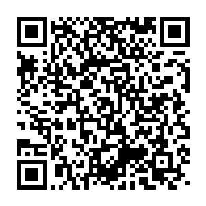 鼠标指针颤颤巍巍地自己不断打开一个又一个文件夹……等我回到房间二维码生成