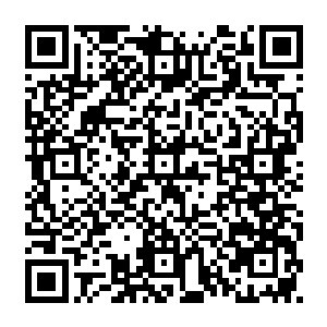 鼻观心……实在是因为习惯了他们家英明神武陛下在苏落姑娘面前愚蠢的样子……二维码生成