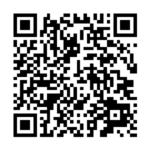 鼻青脸肿的塔林前辈有气无力的重新说了一遍今天的菜单二维码生成