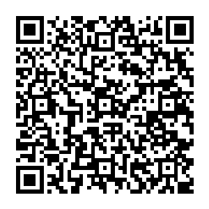 齐飞很后悔　要是刚才他听了苏夜夜的话直接去机场　估计这会儿都已经要飞离神州了二维码生成