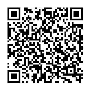 龙傲天不用调动世界之心也绝对能够对蛮荒古界之中的任何生灵进行压制二维码生成