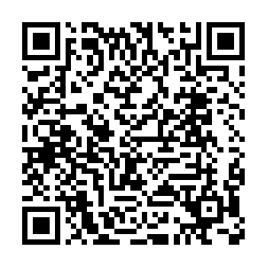 龙傲天也知道使用暗黑系魔法的人对于自己的攻击是没有任何作用的二维码生成