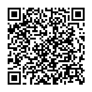 龙傲天从戒指中拿出了一个精致玉瓶从里面倒出一粒补气丹递给了令狐翔宇说道二维码生成