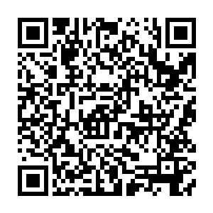 龙傲天在寰宇天界闯荡的时候可是做了不少引起整个寰宇天界轰动的事情二维码生成